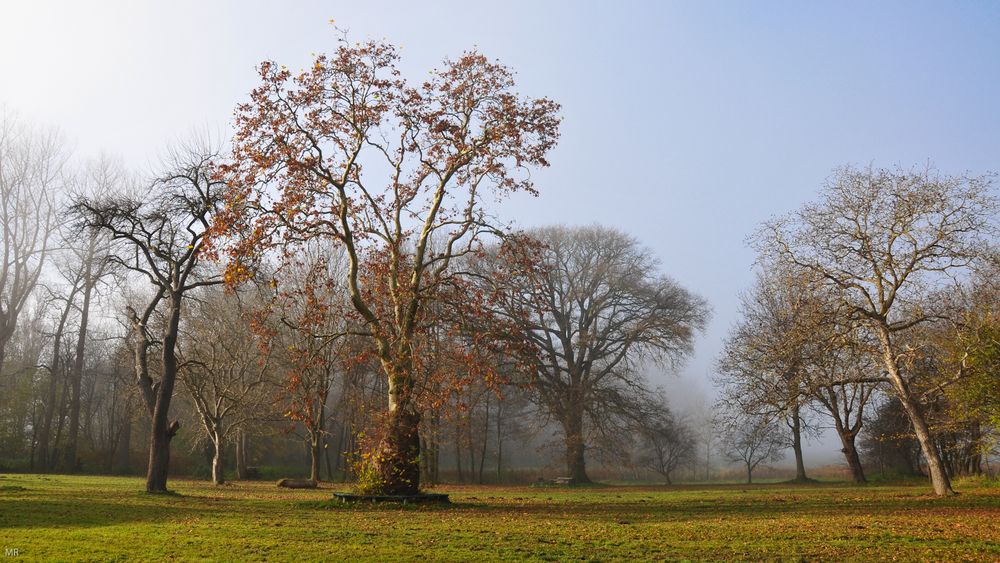 herbstlicher Reigen