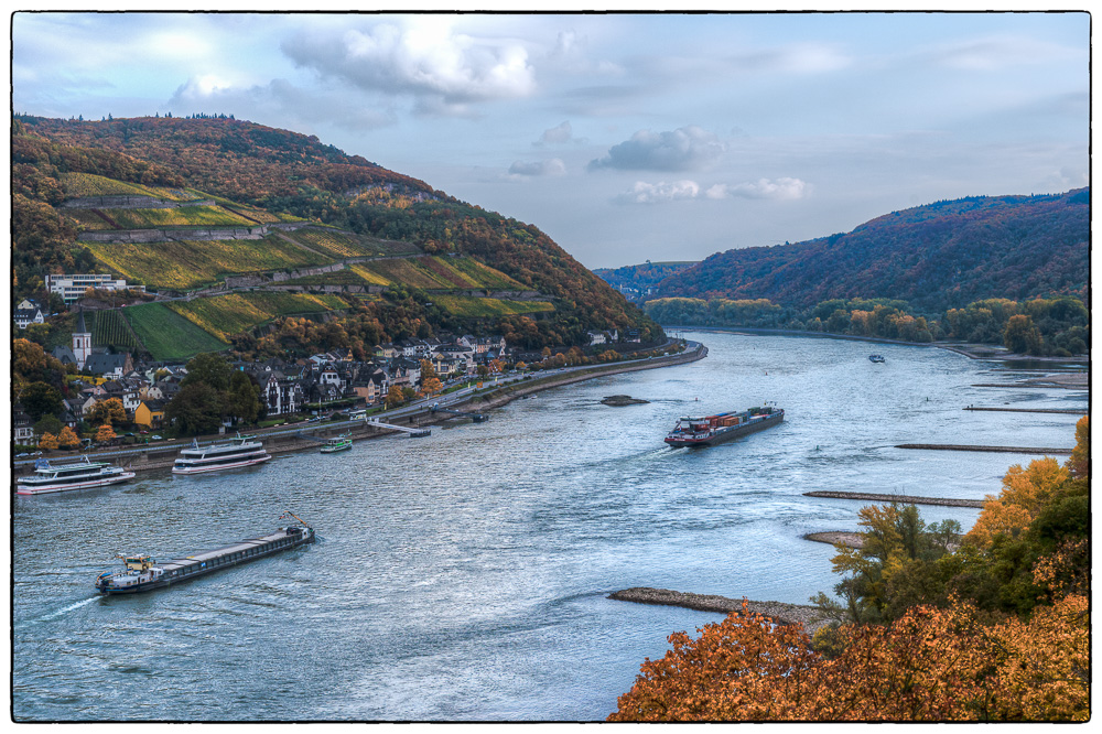 herbstlicher Rhein