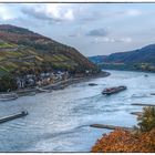 herbstlicher Rhein