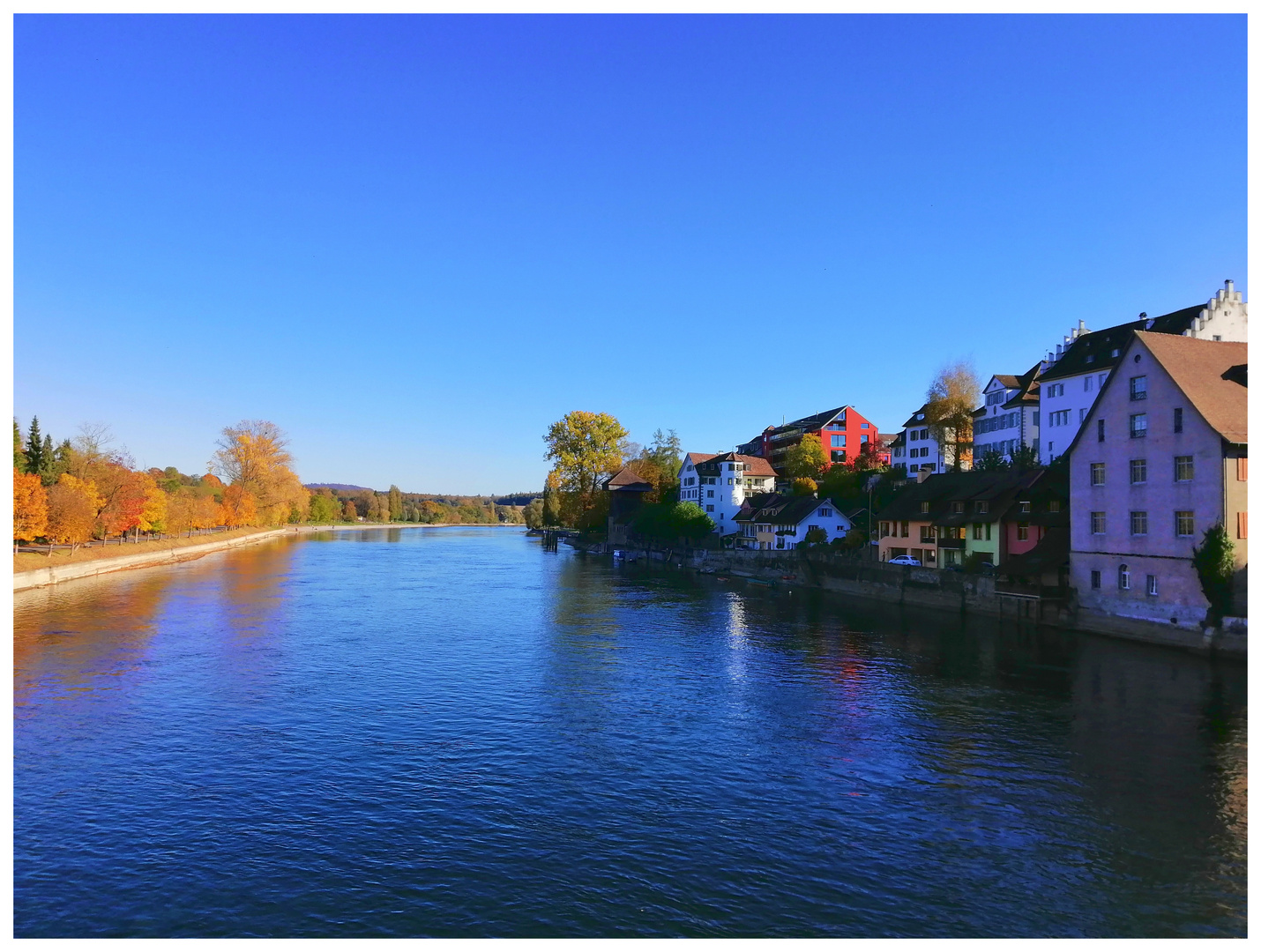 herbstlicher Rhein, flussaufwärts