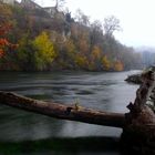 Herbstlicher Rheinfall