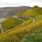 Herbstlicher Rheingau (1)