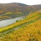 Herbstlicher Rheingau (3)