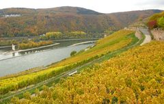 Herbstlicher Rheingau (3)