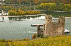 Herbstlicher Rheingau (4)