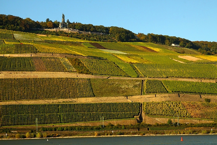 Herbstlicher Rheingau