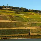 Herbstlicher Rheingau