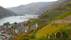 Herbstlicher Rheingau (7)