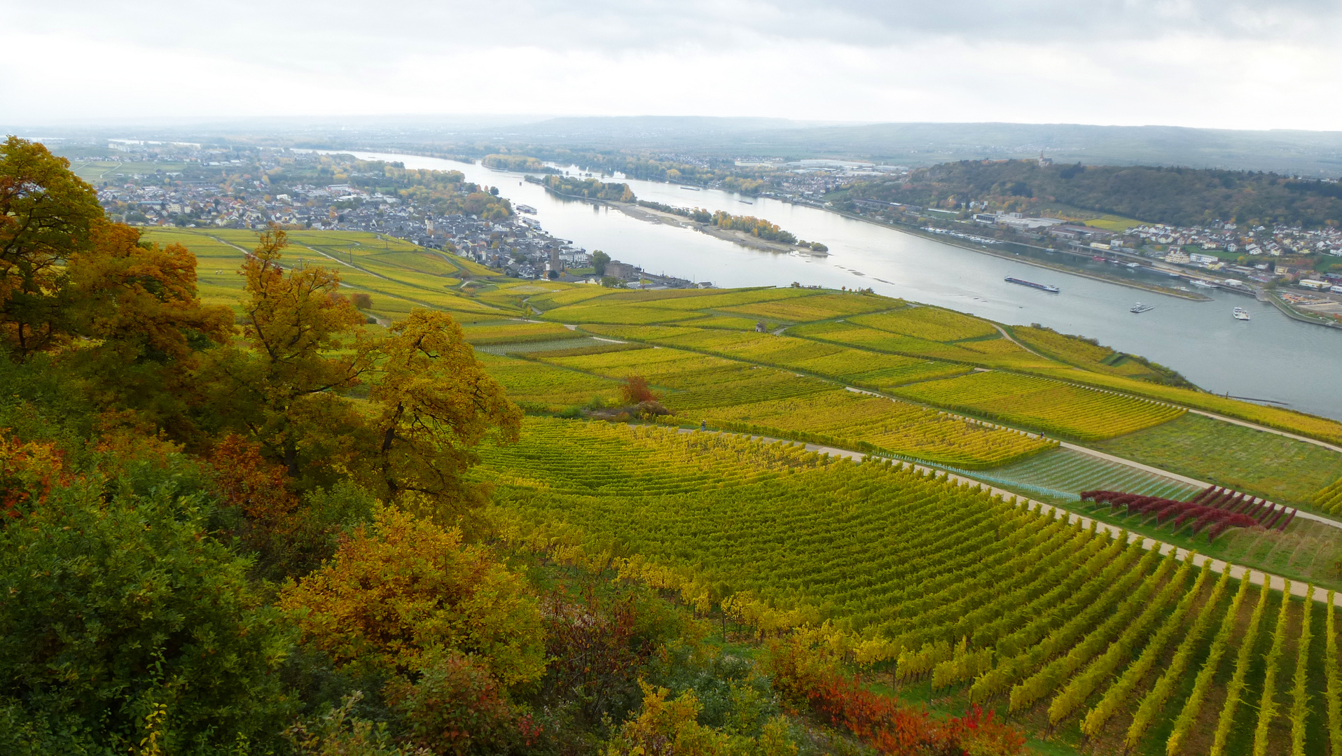 Herbstlicher Rheingau (8)