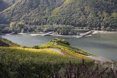 Herbstlicher Rheingau auf der Rotweinseite