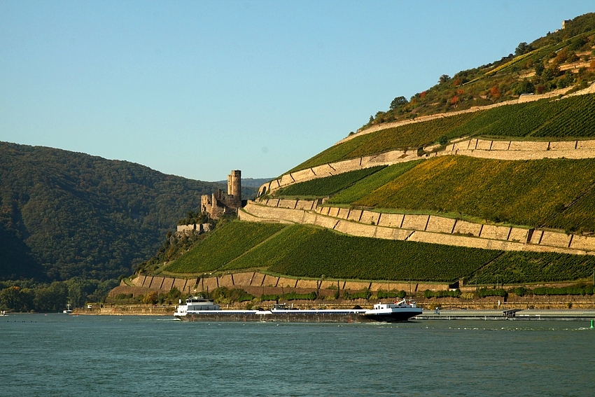 Herbstlicher Rheingau II