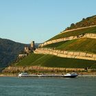 Herbstlicher Rheingau II