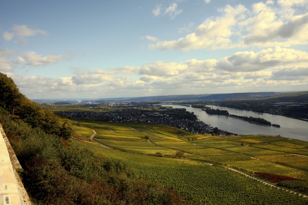 Herbstlicher Rheingau von Rüdesheim und Bingen nach Mainz und Wiesbaden