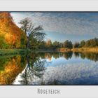 Herbstlicher Röseteich