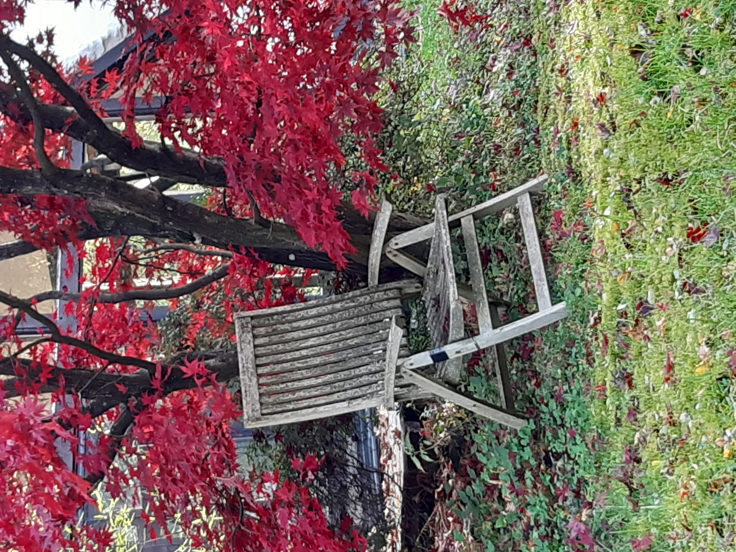 herbstlicher Ruheplatz