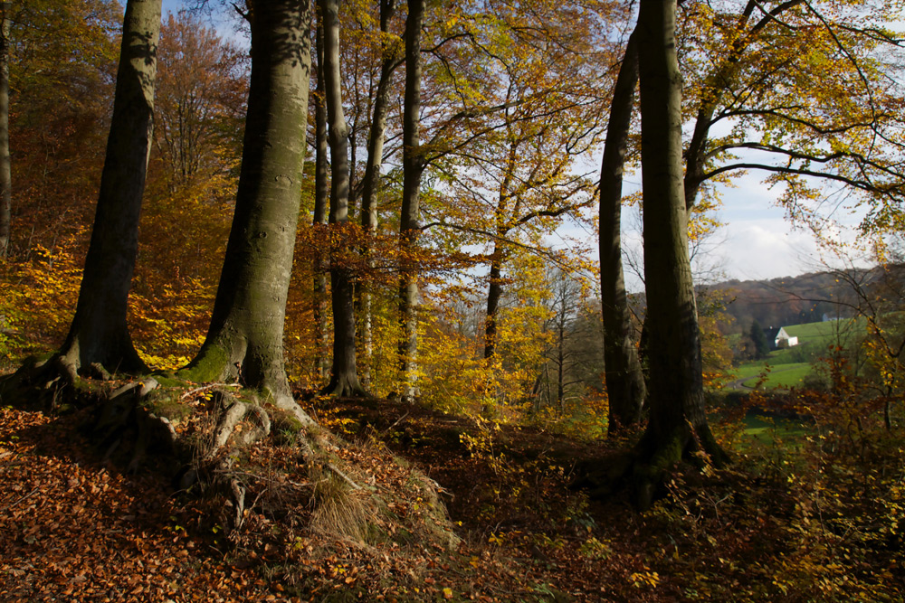 Herbstlicher-Ruhrpott