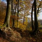 Herbstlicher-Ruhrpott