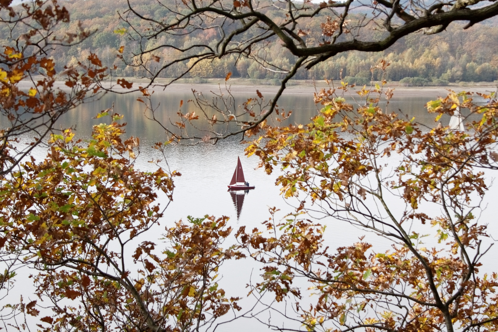 Herbstlicher Rursee