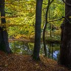 Herbstlicher Sachsenwald an der Bille