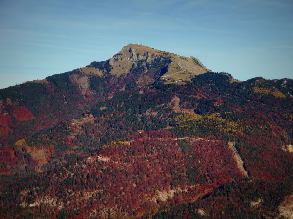 Herbstlicher Schafberg