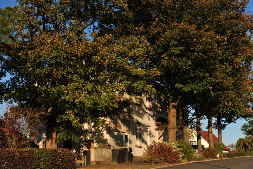 Herbstlicher Schatten