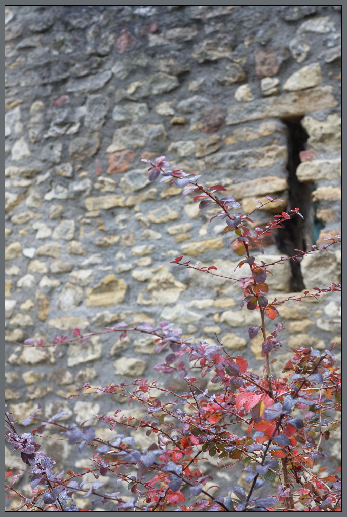 herbstlicher Schießschartenanblick