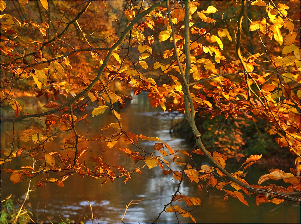 Herbstlicher Schleier