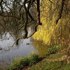 Herbstlicher Schlosspark - Bad Homburg