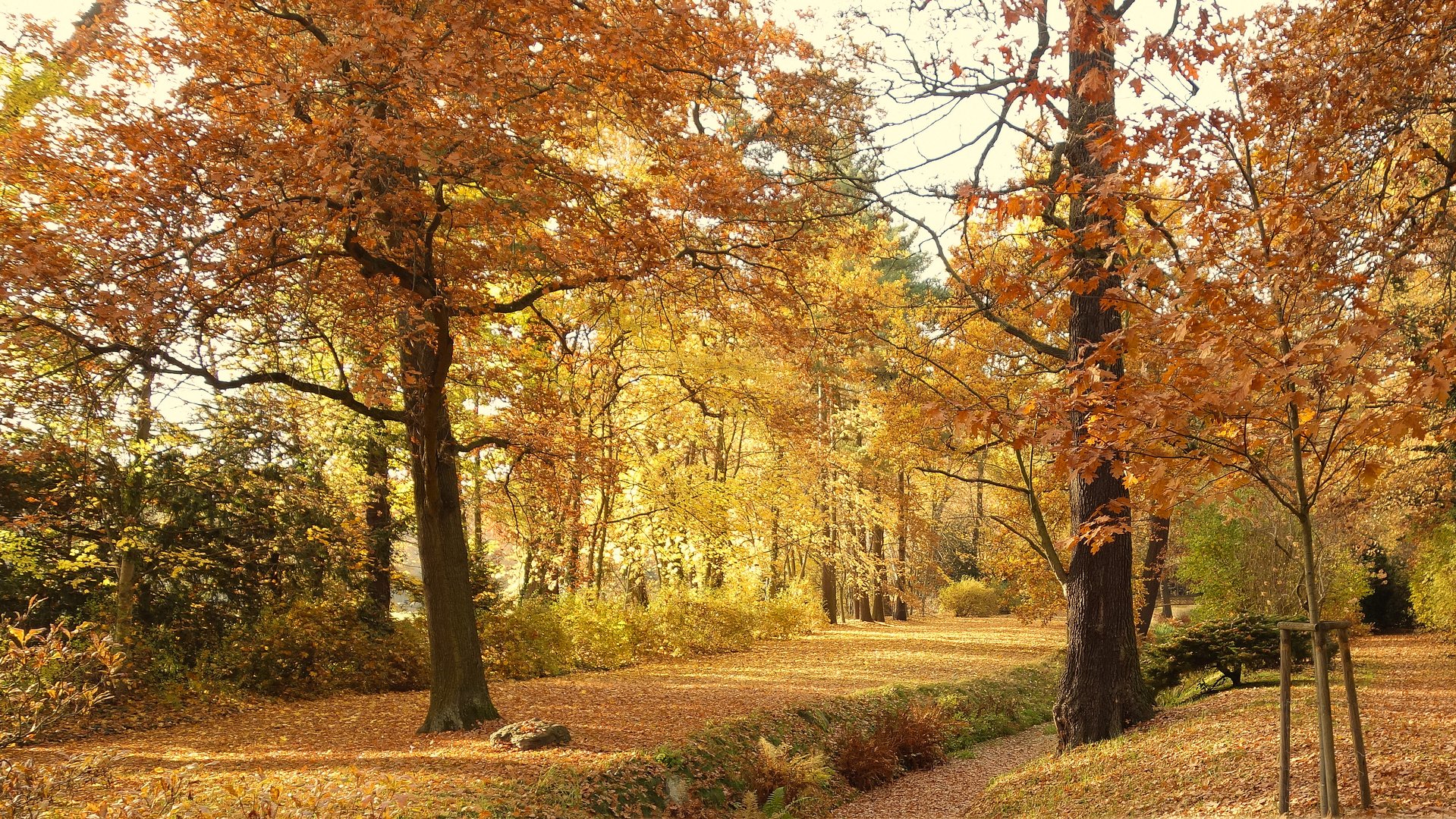 herbstlicher Schlosspark in Oranienbaum