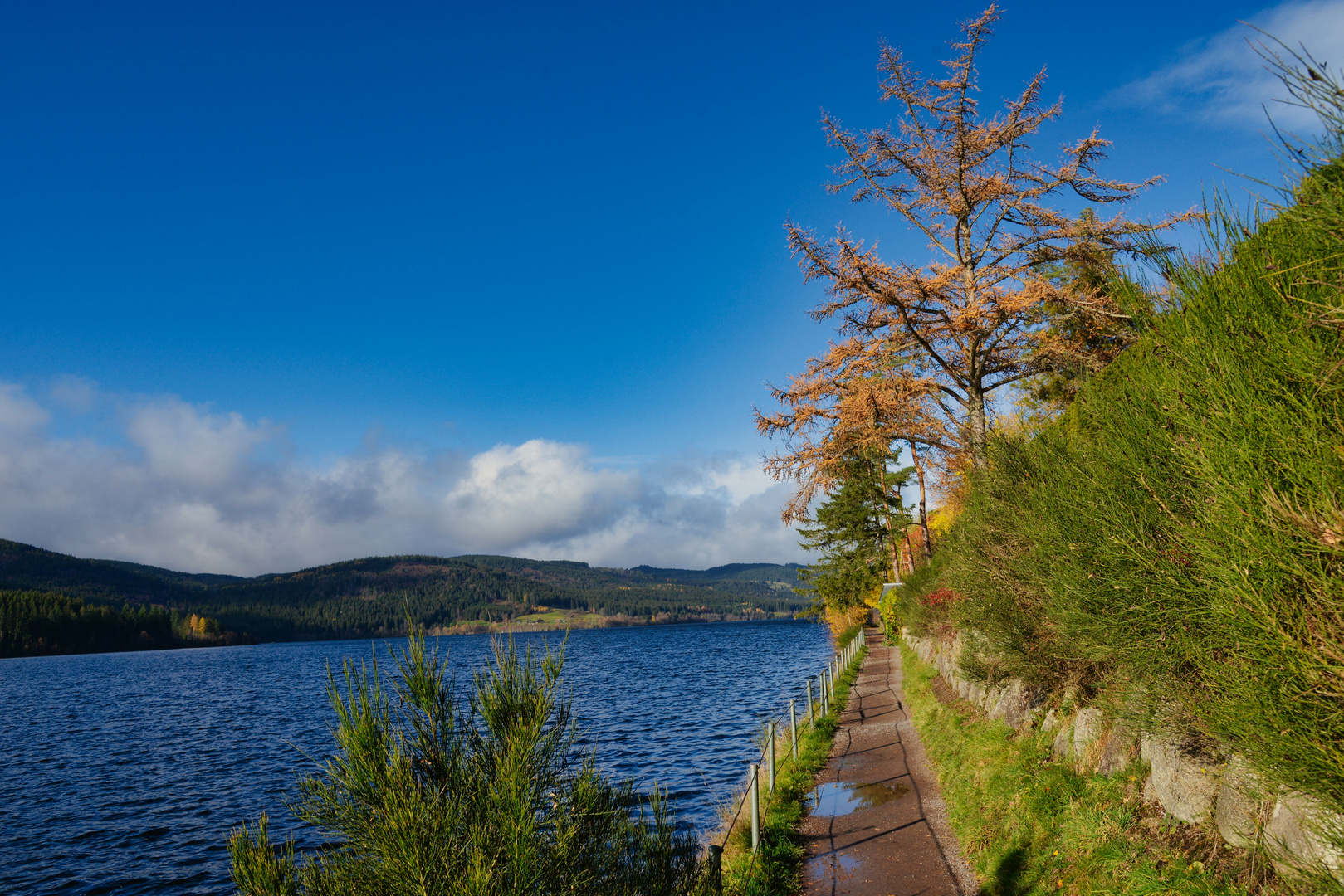 Herbstlicher Schluchsee 02