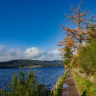 Herbstlicher Schluchsee 02