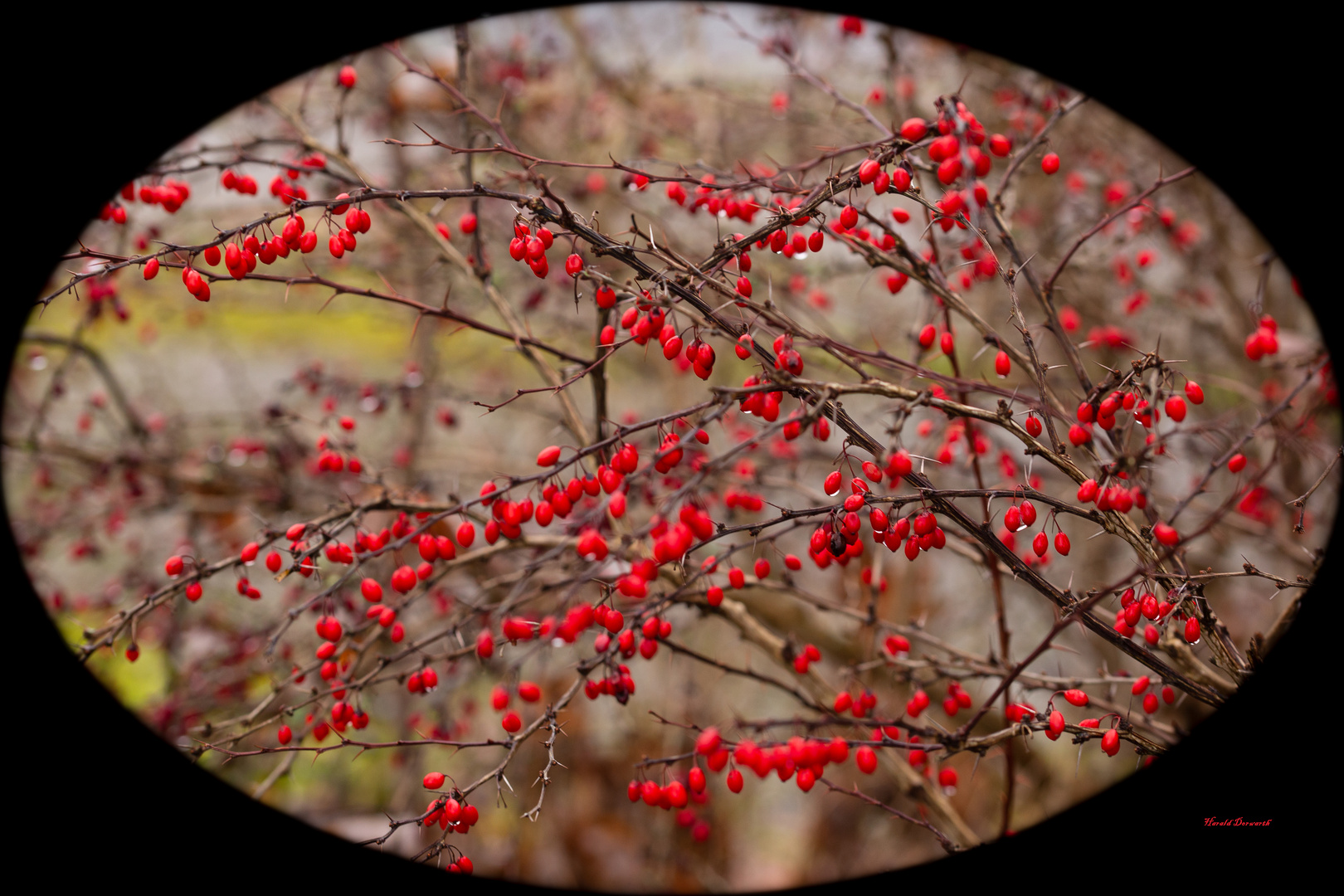 Herbstlicher Schmuck