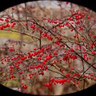 Herbstlicher Schmuck