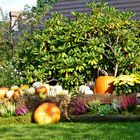 Herbstlicher Schmuck im Spreewald