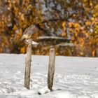 herbstlicher Schnee