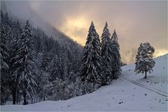 Herbstlicher Schneezauber