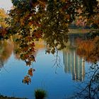 Herbstlicher Schwanenspiegel