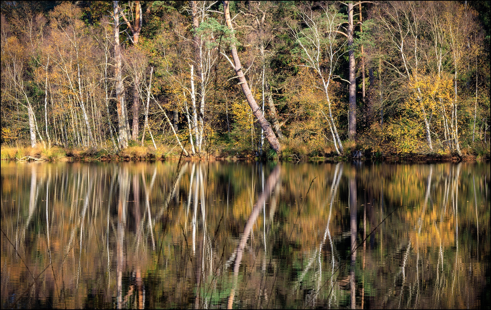 herbstlicher Schwarzsee