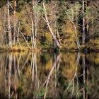 herbstlicher Schwarzsee