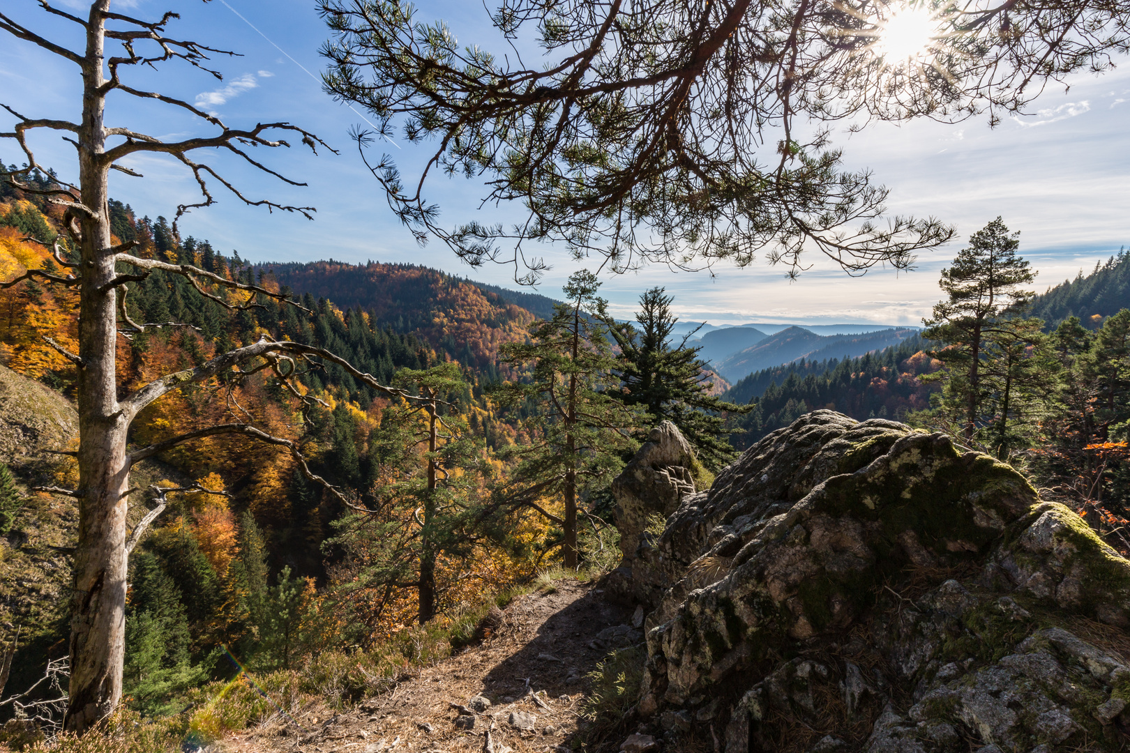 herbstlicher Schwarzwald