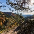 herbstlicher Schwarzwald