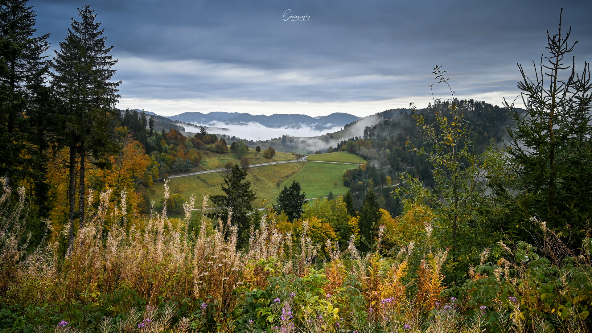 Herbstlicher Schwarzwald