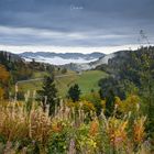 Herbstlicher Schwarzwald