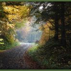 Herbstlicher Schwarzwald