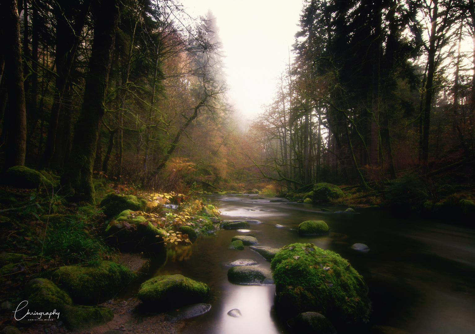 Herbstlicher Schwarzwald