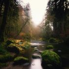 Herbstlicher Schwarzwald