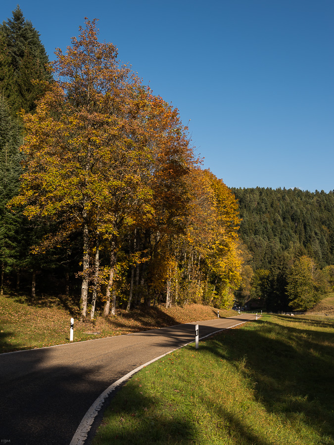 Herbstlicher Schwarzwald