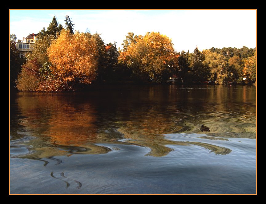 Herbstlicher See