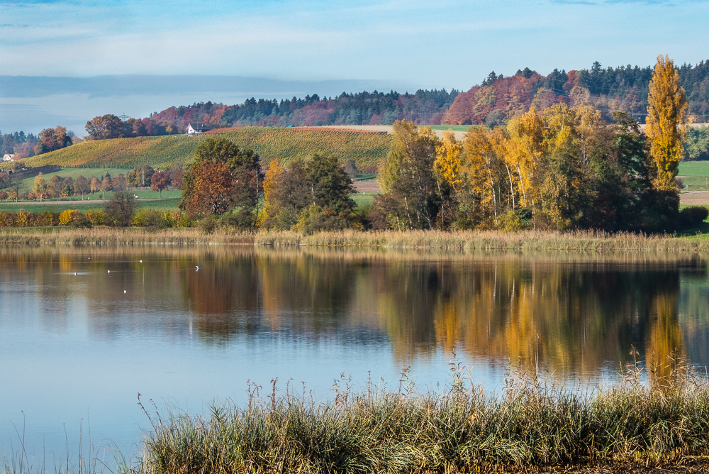 Herbstlicher See