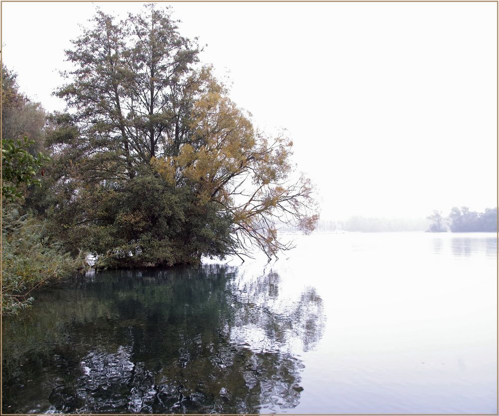 Herbstlicher See